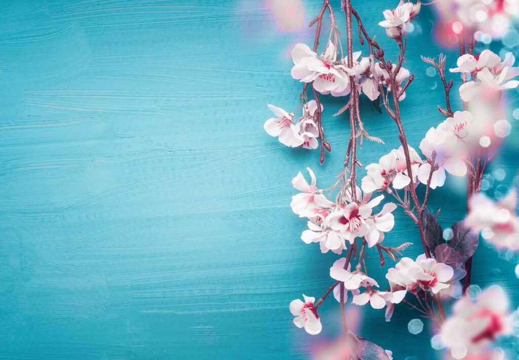 「春」を英語で何と言う？花粉症やお花見など春を表す役立ち表現も紹介！