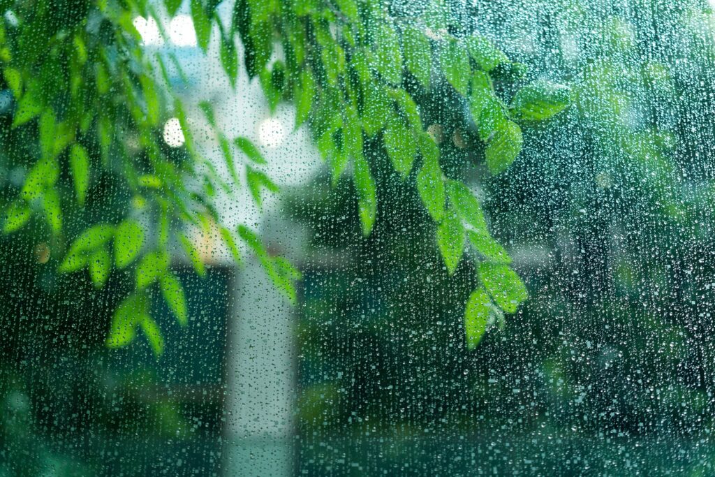 「梅雨」を英語でなんて言う？日本の天気や気候を説明する英語も例文付きで紹介！