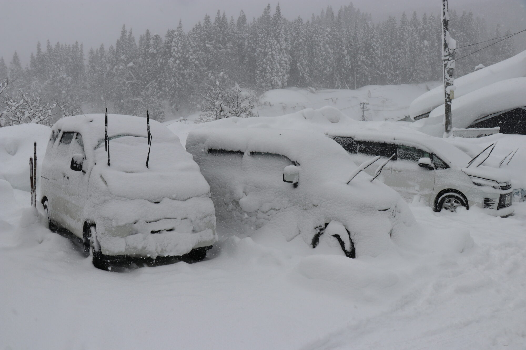 「寒波」は英語で何と言う?大雪・猛吹雪・大寒波など類似表現とともに紹介 | ENGLISH TIMES
