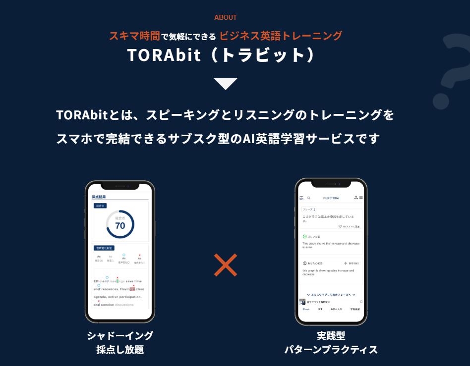 TORAbit_about