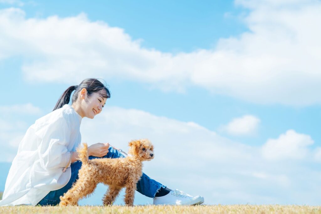 ペットと使える英語フレーズ50選｜日常・SNS・旅行で役立つ表現集